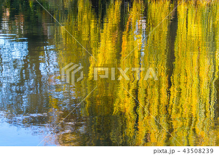 英国 イギリス 水面 反射 田園風景 絵画的な ペインティング 英国 イギリス 水面 反射 田園風景 絵画的な ペインティング 43508239