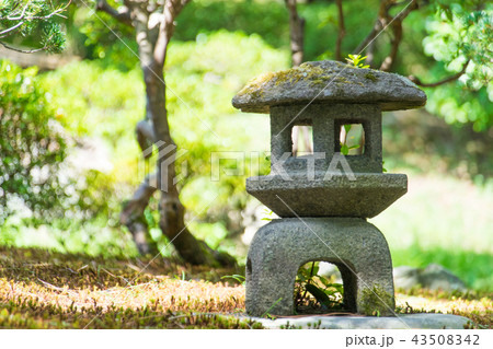 京都御苑 石灯篭 Kyoto Gyoen National Garden 43508342