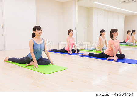 ヨガ　ピラティス　フィットネス 43508454