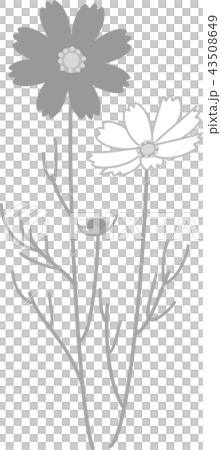 Cosmos autumn cherry tree 2 gray dark 43508649