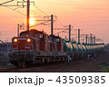 朝焼けの中を行くDD51重連牽引タンク列車 43509385