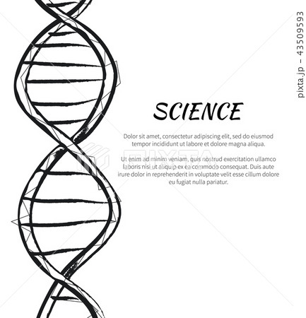 Science DNA Code Structure Icon Vector Poster Science DNA Code Structure Icon Vector Poster 43509593