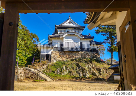 秋の備中松山城 天守閣 秋の備中松山城 天守閣 43509632