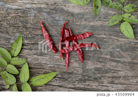 Dried red chilly pepper on wooden panel Dried red chilly pepper on wooden panel 43509904