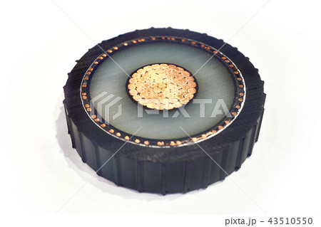 Large copper power cable in section isolated 43510550