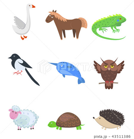 Set of Cartoon Animal Pet and Wild Nine Icons 43511386