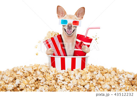 dog to the movies 43512232