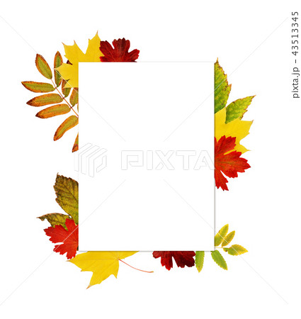 Empty card with autumn colorful leaves 43513345