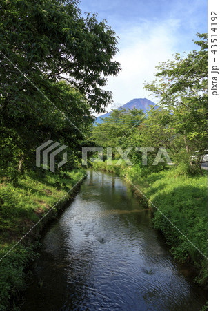 忍野八海 忍野八海 43514192
