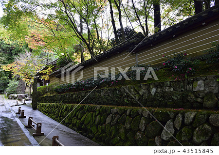 檀林寺　参道 43515845