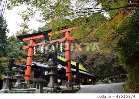 愛宕神社　一の鳥居 43515874