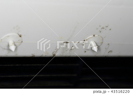 猛暑　エアコンクリーニング　空調　カビ　エアコン内部洗浄　アレルギー　アトピー　喘息 せきぜんそく 43516220