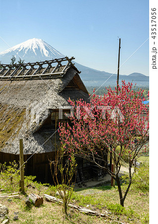 西湖いやしの里根場の古民家と富士山 43517056