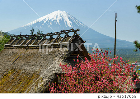 西湖いやしの里根場の古民家と富士山 西湖いやしの里根場の古民家と富士山 43517058