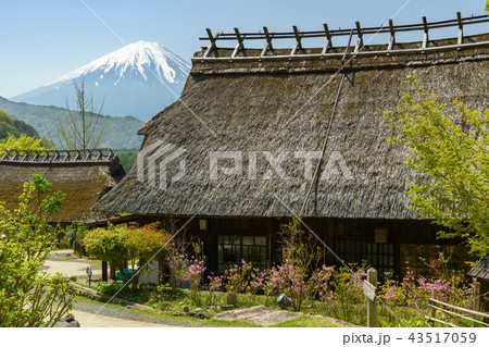 西湖いやしの里根場の古民家と富士山 西湖いやしの里根場の古民家と富士山 43517059