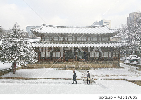 ソウル 韓国 屋外 43517605