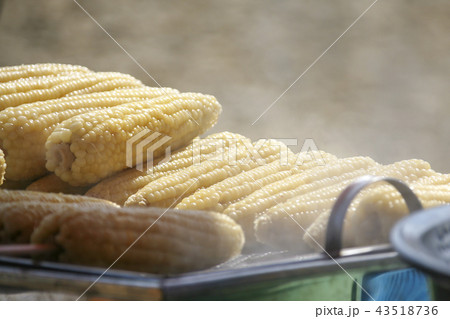 慶北 旅行 スポット 43518736