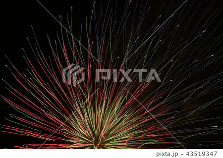 （千葉県/いすみ市/花火大会/ＯＨＢ/大原海水浴場）　七色に輝くイソギンチャクのような打上花火 43519347