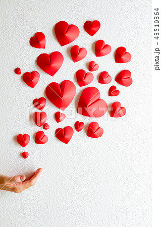 愛情イメージ　白い背景とたくさんのハート 43519364