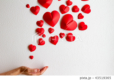 愛情イメージ　白い背景とたくさんのハート 43519365