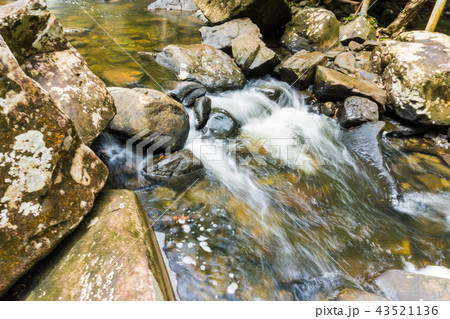 Waterfall in tropical rain deep forest in Koh Kood Waterfall in tropical rain deep forest in Koh Kood 43521136