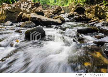 Waterfall in tropical rain deep forest in Koh Kood 43521137