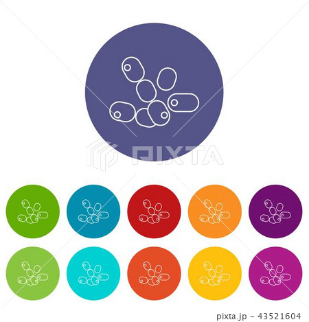 Coccus bacilli icons set vector color 43521604