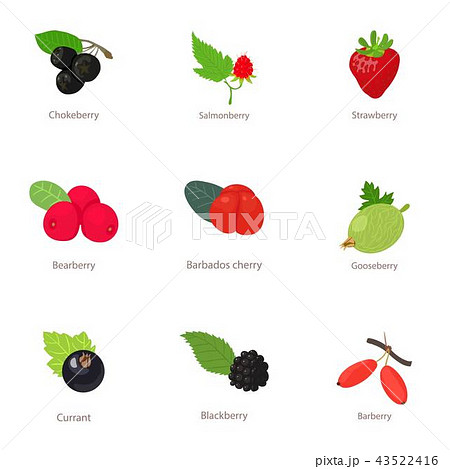 Berry type icons set, isometric style 43522416