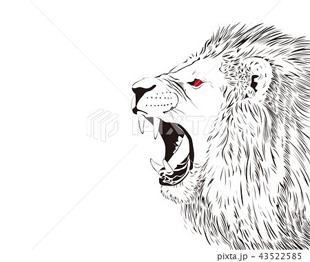 Barking Lion Stock Illustration