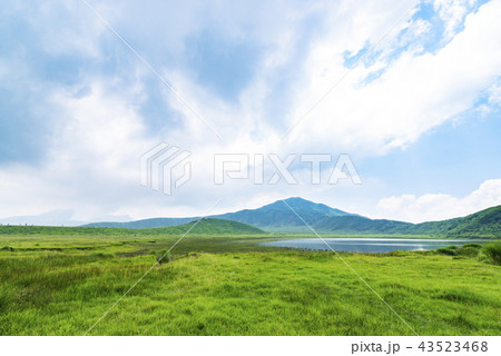 草千里ヶ浜 43523468