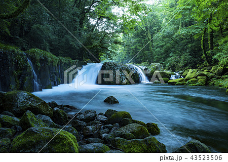 菊池渓谷 菊池渓谷 43523506