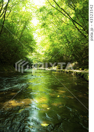 岳切渓谷 43523542