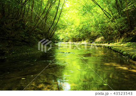 岳切渓谷 岳切渓谷 43523543