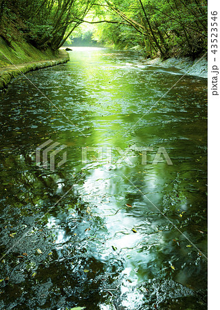 岳切渓谷 43523546