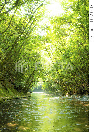 岳切渓谷 岳切渓谷 43523548