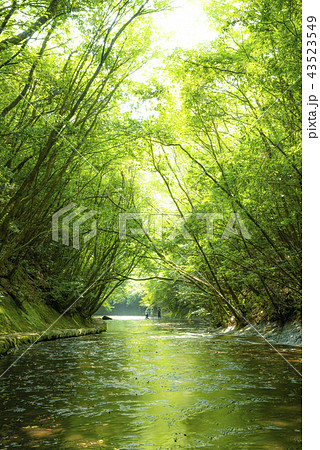 岳切渓谷 岳切渓谷 43523549