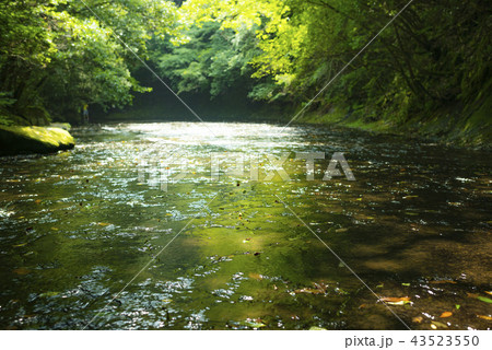 岳切渓谷 43523550