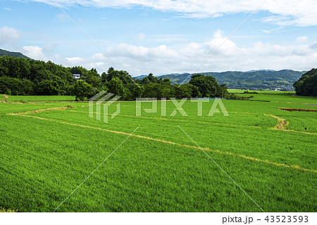 田染荘 田染荘 43523593