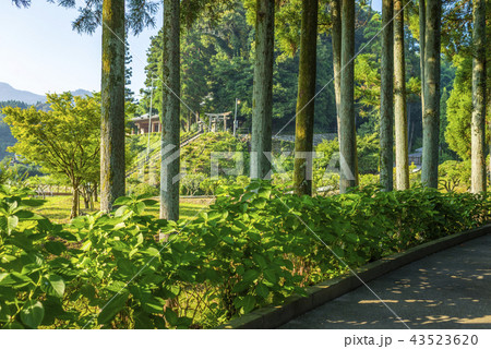 臼杵石仏の入口 臼杵石仏の入口 43523620