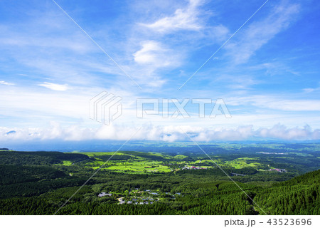 瀬の本高原 43523696
