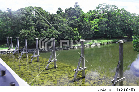 三重県伊勢市　宇治橋鳥居付近より五十鈴川 43523788