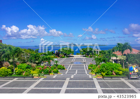 沖縄の海洋博公園からの海の風景 43523965