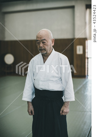 Aikido 43524423
