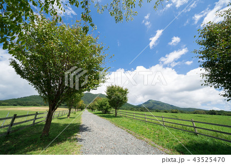 山區高原牧場道路 岡山縣 山形縣 岡山縣 照片素材 圖片 圖庫