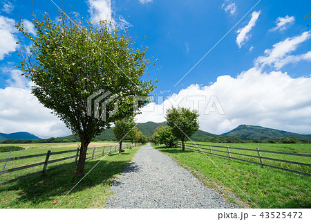 山區高原牧場道路 岡山縣 山形縣 岡山縣 照片素材 圖片 圖庫