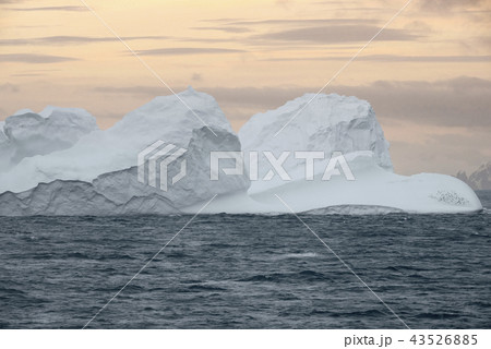 Large Iceberg floating at sunset, Antarctica Large Iceberg floating at sunset, Antarctica 43526885