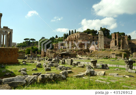 パラティ－ノの丘の下に広がるフォロ・ロマーノ、多くの神殿が建っていた　 43526912