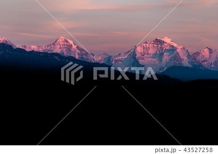 Swiss Mountains Swiss Mountains 43527258