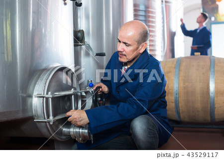 Smiling man machinery operator working in winery 43529117