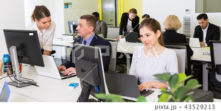 Business people working in coworking space 43529213